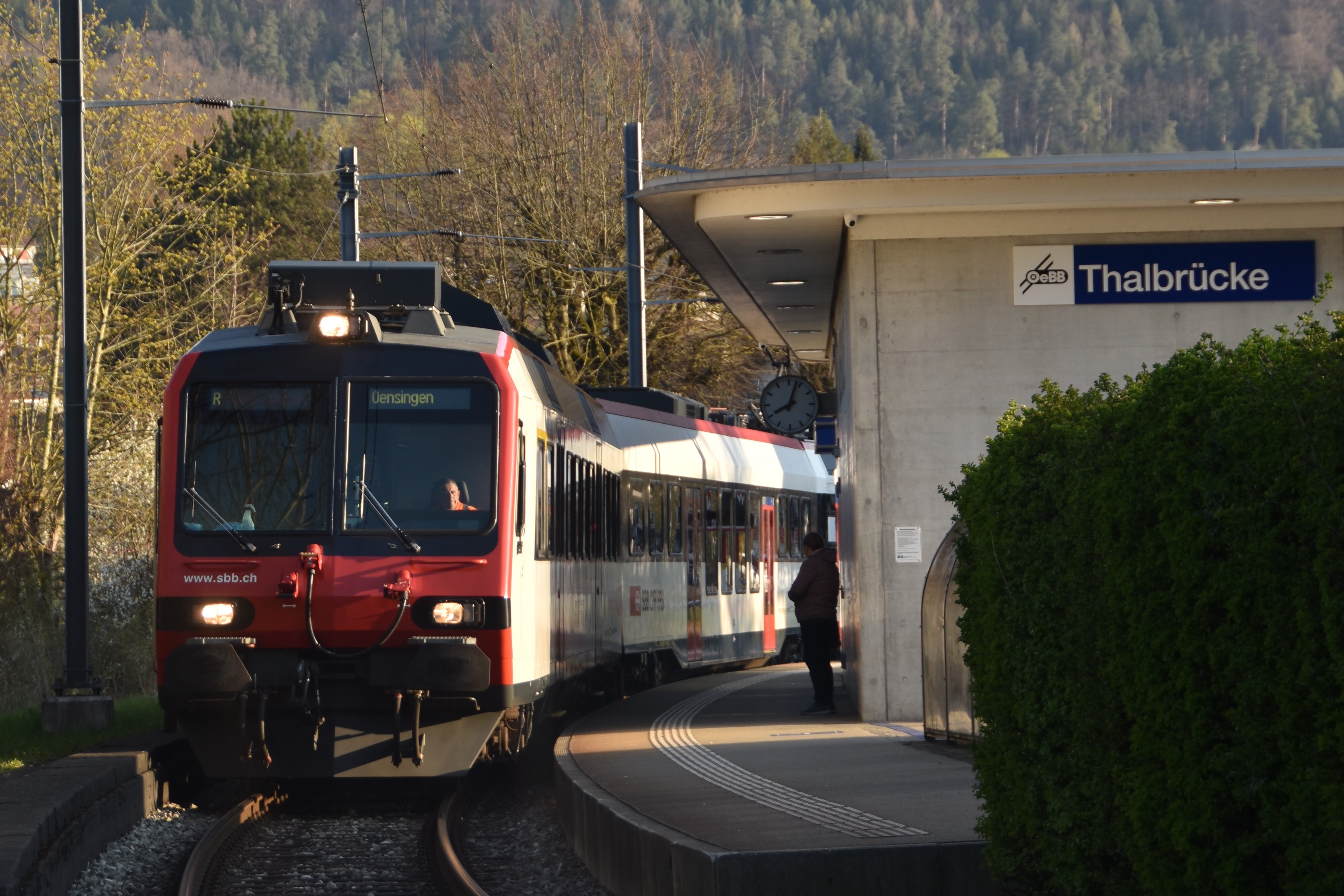 Zug Thalbrücke