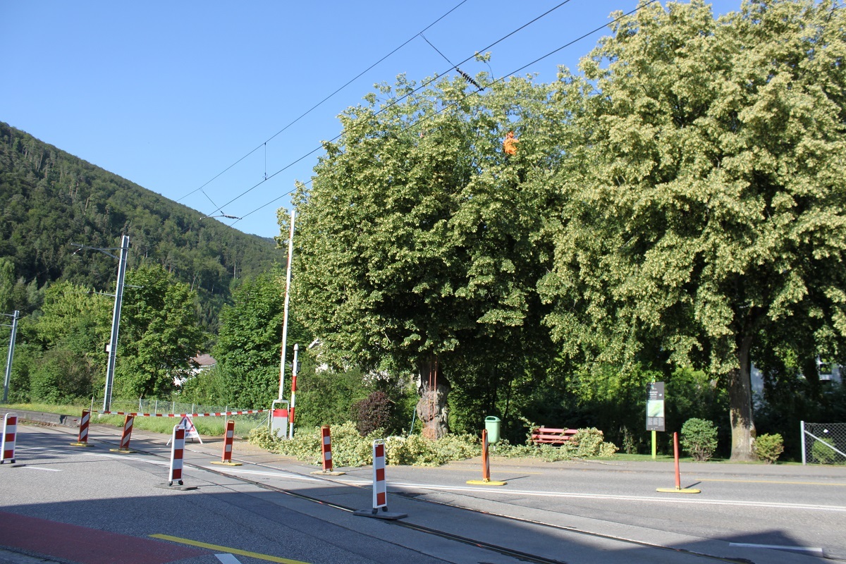 Triebwagen_RBe.jpg